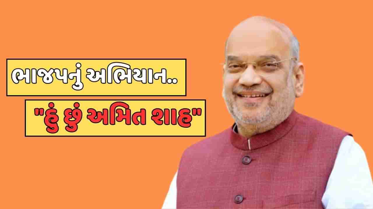 ગાંધીનગર બેઠક મહત્તમ 10 લાખની લીડથી જીતવા કવાયત, કાર્યકરોએ પાવાગઢ મંદિરમાં ધ્વજા ચડાવી કરી પૂજા, જુઓ વીડિયો