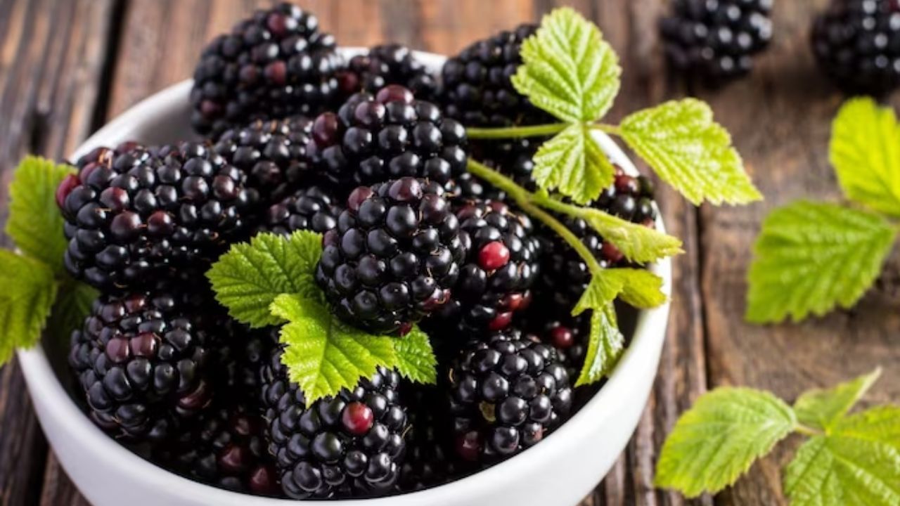 બ્લેકબેરી (Blackberries)- કાળા ફળોમાં બ્લેક બેરીનું સેવન તમારા માટે ઘણી રીતે ફાયદાકારક સાબિત થઈ શકે છે. આ ફળ એન્ટીઓક્સીડેન્ટથી ભરપૂર છે. આ ખાવાથી સોજા અને હ્રદયની બીમારીઓ મટે છે. કેન્સરનું જોખમ ઘટાડી શકે છે. વિટામિન સીની હાજરીને કારણે રોગપ્રતિકારક શક્તિ વધે છે, જે તમને વારંવાર બીમાર પડવાથી બચાવી શકે છે.