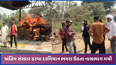 અરવલ્લીઃ અંતિમ સંસ્કારની વિધી દરમિયાન ભમરા ઉડ્યા, ડાઘુઓમાં નાસભાગ મચી ગઈ અરવલ્લીઃ અંતિમ સંસ્કારની વિધી દરમિયાન ભમરા ઉડ્યા, ડાઘુઓમાં નાસભાગ મચી ગઈ