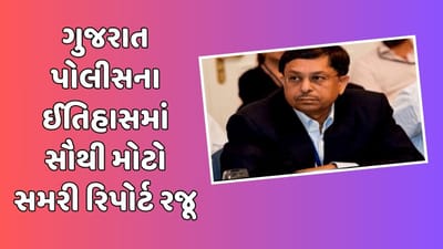 બલ્ગેરિયન યુવતી દુષ્કર્મ કેસ, ગુજરાત પોલીસે 700 પાનાનો સમરી અહેવાલ કોર્ટમાં કર્યો રજૂ, જુઓ Video