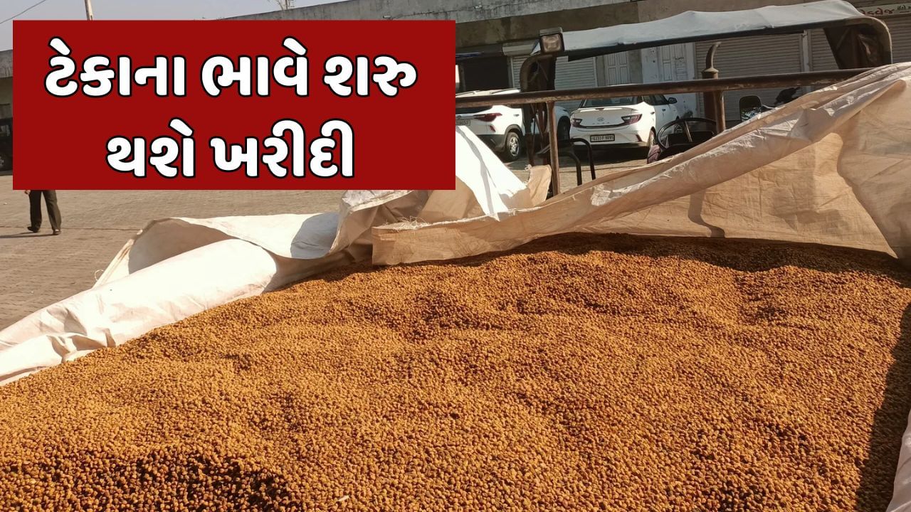 Gandhinagar Video : 18 માર્ચથી ટેકાના ભાવે પાકની ખરીદી શરૂ થશે ...