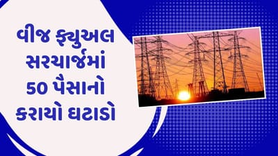 ગુજરાતના વીજ ગ્રાહકોના હિતમાં મોટો નિર્ણય, સરકારે વીજ ફ્યુઅલ સરચાર્જમાં 50 પૈસાનો કર્યો ઘટાડો, જુઓ Video