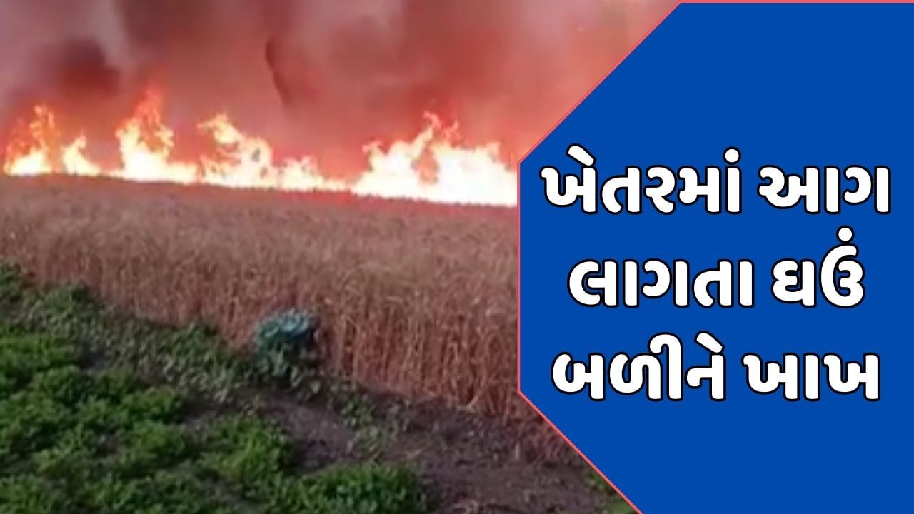 Amreli : દેવળકી ગામમાં ઘઉંના ખેતરમાં લાગી ભીષણ આગ, જગતના તાતની મહેનત બળીને ખાખ, વીડિયોમાં જુઓ દ્રશ્યો