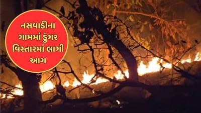 Chhota Udepur : નસવાડીમાં કંડવા ગામે ડુંગરમાં લાગી આગ, જંગલ બળીને ખાખ, જૂઓ Video