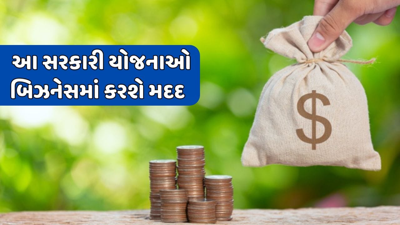 જો તમે પણ બિઝનેસ કરવા માંગો છો, તો આ સરકારી યોજનાઓ થશે મદદરૂપ