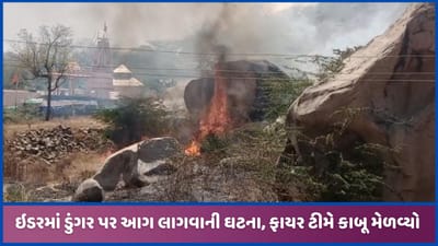 ઇડરીયા ગઢ નજીક ડુંગર પર આગની ઘટના, ફાયર ટીમોએ મેળવ્યો કાબૂ