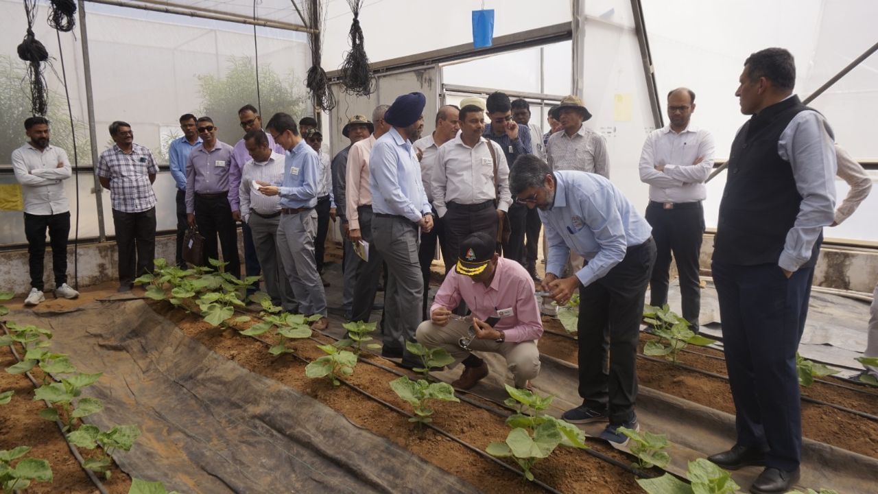 Indo Israel Vegetable Center of Excellence Prantij (4)