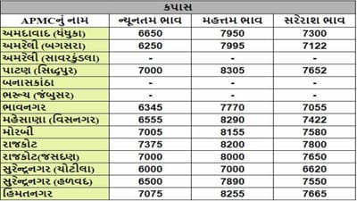 કપાસના તા.09-03-2024ના રોજ APMCના ભાવ રૂ.6000 થી 8305 રહ્યા.