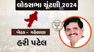 મહેસાણા બેઠક પર ફાઈન આર્ટસના નિવૃત્ત પ્રિન્સિપાલ હરી પટેલ ભાજપના ઉમેદવાર, જાણો