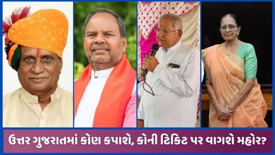 ઉત્તર ગુજરાતમાં ચારેય સાંસદો કપાશે? BJP લાગુ કરશે નો-રિપીટ થિયરી