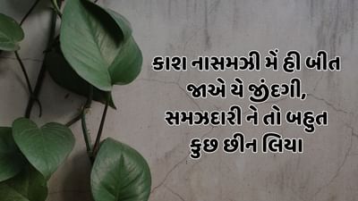 કાશ નાસમઝી મેં હી બીત જાએ યે જીંદગી, સમઝદારી ને તો બહુત કુછ છીન લિયા