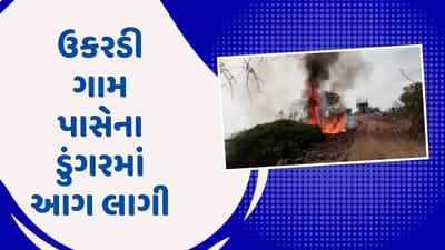 Mahisagar: લુણાવાડાના ઉકરડી ગામ પાસેના ડુંગરમાં આગ લાગી, જંગલનો વિસ્તાર બળીને ખાક, જુઓ Video Mahisagar: લુણાવાડાના ઉકરડી ગામ પાસેના ડુંગરમાં આગ લાગી, જંગલનો વિસ્તાર બળીને ખાક, જુઓ Video