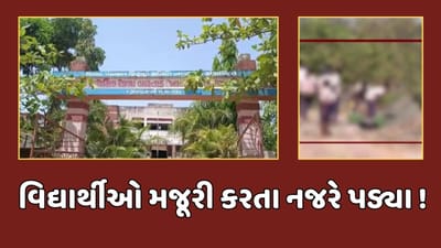 નવસારી : ભણતરના ભાર વચ્ચે વાંસદા પંથકની પ્રાથમિક શાળાના વિદ્યાર્થીઓ મજૂરી કામ કરતા નજરે પડ્યા, વીડિયો થયો વાયરલ નવસારી : ભણતરના ભાર વચ્ચે વાંસદા પંથકની પ્રાથમિક શાળાના વિદ્યાર્થીઓ મજૂરી કામ કરતા નજરે પડ્યા, વીડિયો થયો વાયરલ