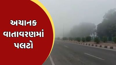 Rajkot Video: ધોરાજી પંથકમાં છવાયું ગાઢ ધુમ્મસ, ખેડૂતોના પાકને નુકસાન જવાની ભીતિ