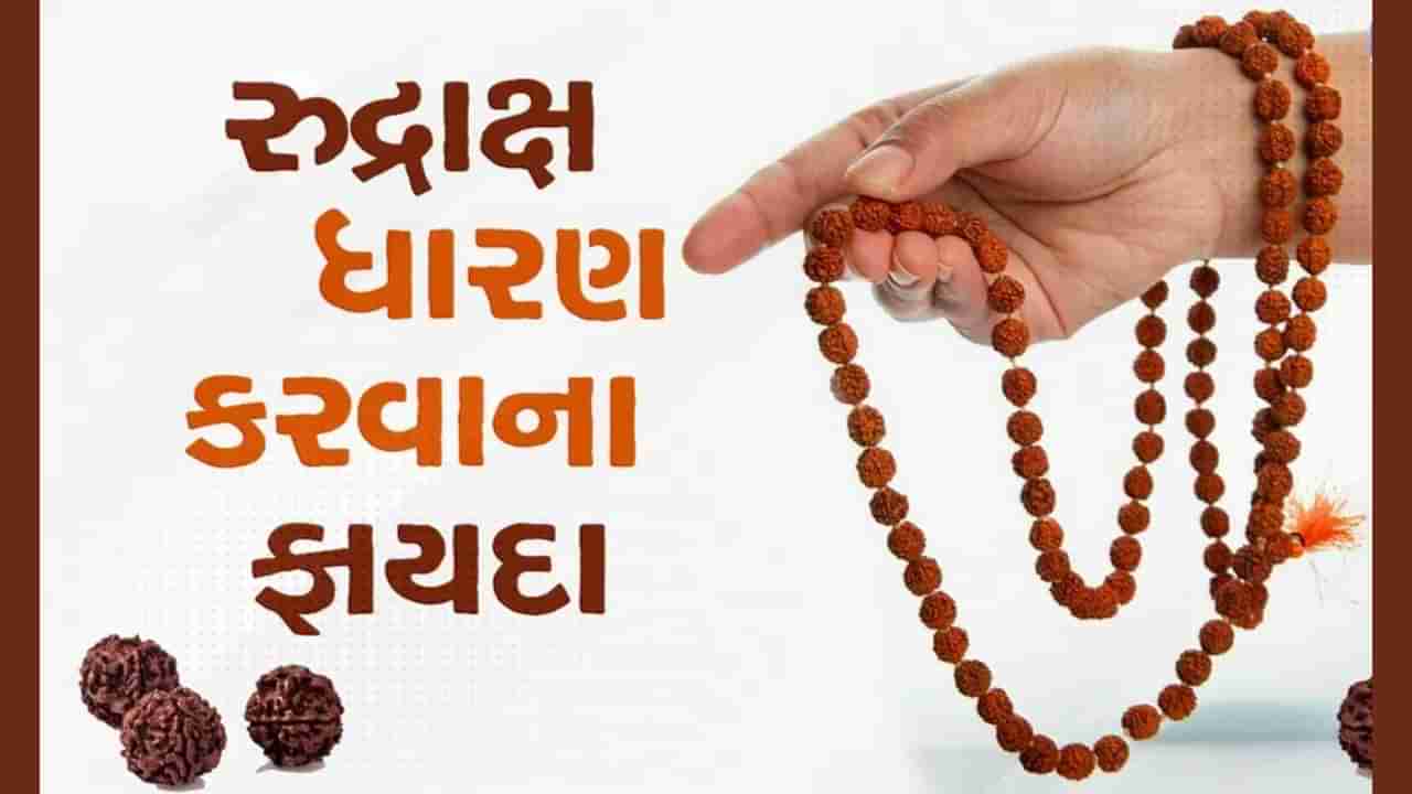 શિવરાત્રીએ રુદ્રાક્ષ ધારણ કરવાથી થાય છે આ મનોકામનાઓ પૂર્ણ, વાંચો દરેક રુદ્રાક્ષનું મહત્વ