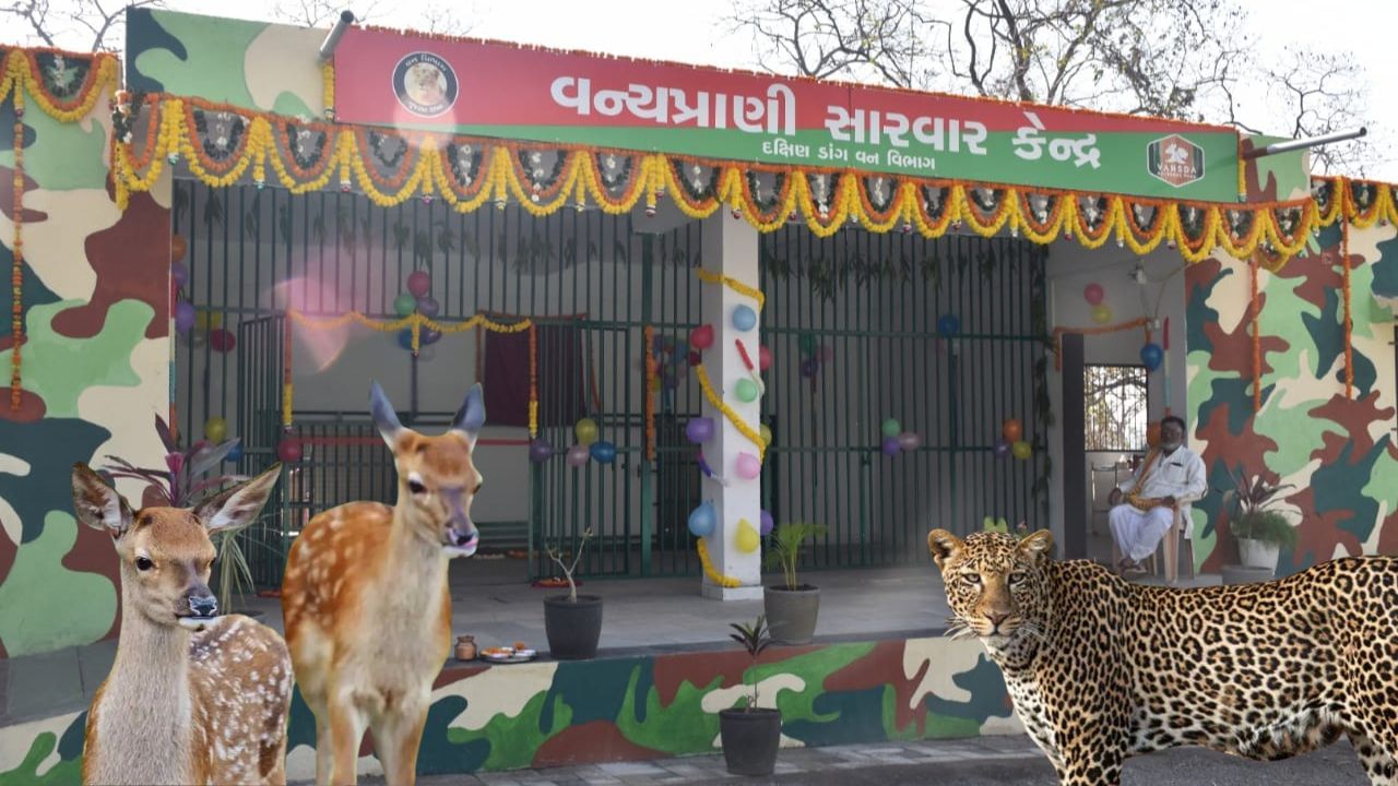 South Gujarat first wildlife treatment centre Vansada National Park (1)