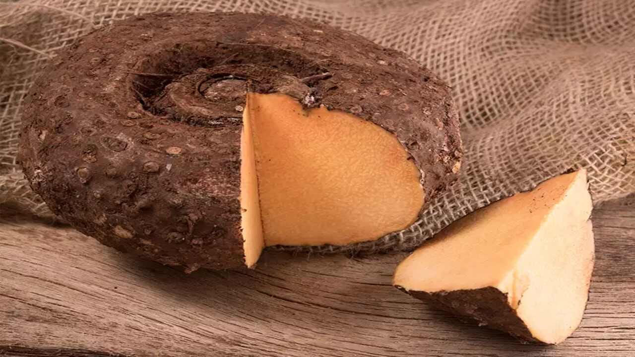 પાઈલ્સથી રાહત મેળવવા માટે તમે સુરણની ભાજીનું સેવન કરી શકો છો. જો તમને લોહીવાળા પાઈલ્સ હોય તો તમે સુરણની ભાજીને છાશ સાથે ઉકાળીને ખાઈ શકો છો. જો તમે દિવસમાં બે વાર તેનું સેવન કરો છો, તો તમને 1-2 અઠવાડિયામાં ફાયદો મળી શકે છે. તમારે ફક્ત એક વાતનું ધ્યાન રાખવાનું છે કે તમારે તેને ઓછા તેલ અને ઓછા મસાલા સાથે બનાવવું જોઈએ.