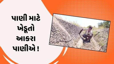 Surendranagar Video : લિકેજના કારણે દેદાદરા ગામના ખેડૂતોએ પાણી કરાવ્યું બંધ, પાણી બંધ થતા ઝમમર ગામના ખેડૂતોમાં રોષ