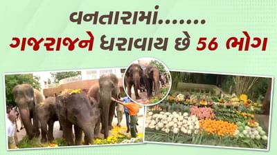 વનતારામાં ગજરાજ માટે 14000 ફૂટથી વધારે વિસ્તારમાં બનાવાયુ છે રસોડુ, હાથીઓને ધરાવાય છે 56 ભોગ, જુઓ વીડિયો