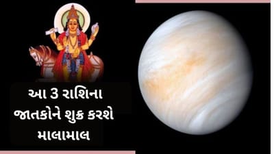 ધન અને વૈભવના દાતા શુક્ર કરી રહ્યા છે નક્ષત્ર પરિવર્તન, આ 3 રાશિના જાતકોને કરી દેશે માલામાલ