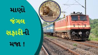 Western Railway : સાઉથ ગુજરાત સુરત, નવસારીથી સાસણ ગીર સુધી ફરવા જવું છે? તો આ રહી લોકલ ટ્રેન
