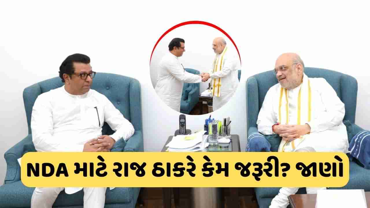 Lok Sabha Election: શું NDAનો ભાગ બનશે MNS? અમિત શાહને મળ્યા રાજ ઠાકરે, આ માટે જરૂરી છે સાથ