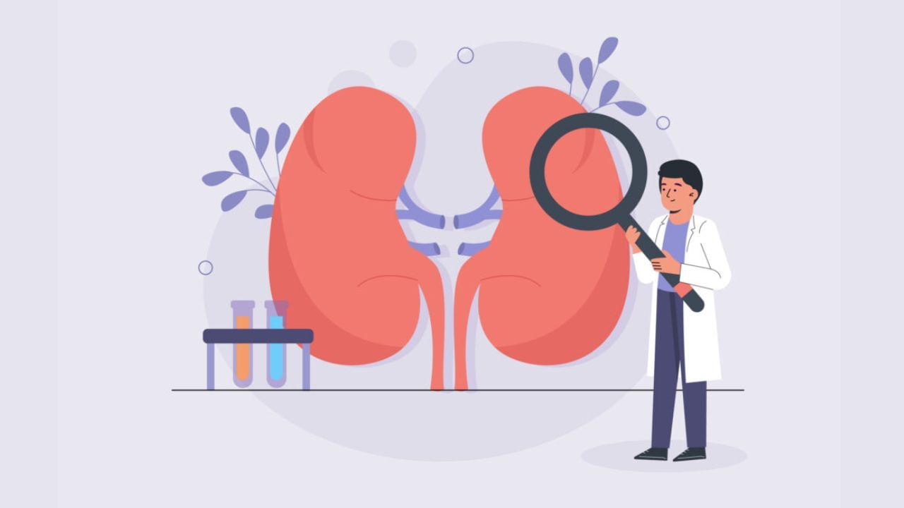 આરોગ્ય નિષ્ણાતો કહે છે કે, આહારમાં ગડબડી, માંસનું વધુ પડતું સેવન, એન્ટિબાયોટિક્સ સહિતની અમુક પ્રકારની દવાઓ અને નોન-સ્ટીરોઈડલ એન્ટિ-ઈન્ફ્લેમેટરી દવાઓ કિડનીના રોગોનું જોખમ વધારી શકે છે. બધા લોકોને ક્રિએટિનના સ્તરને નિયંત્રણમાં રાખવાની સલાહ આપવામાં આવે છે.