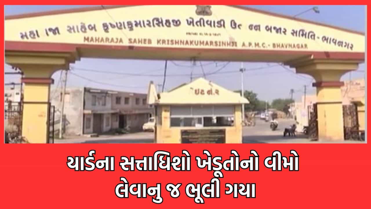 ભાવનગર માર્કેટિંગ યાર્ડના સત્તાધિશોની બેદરકારીના પાપે 1.47 લાખ ખેડૂતો વીમાથી રહેશે વંચિત- વીડિયો