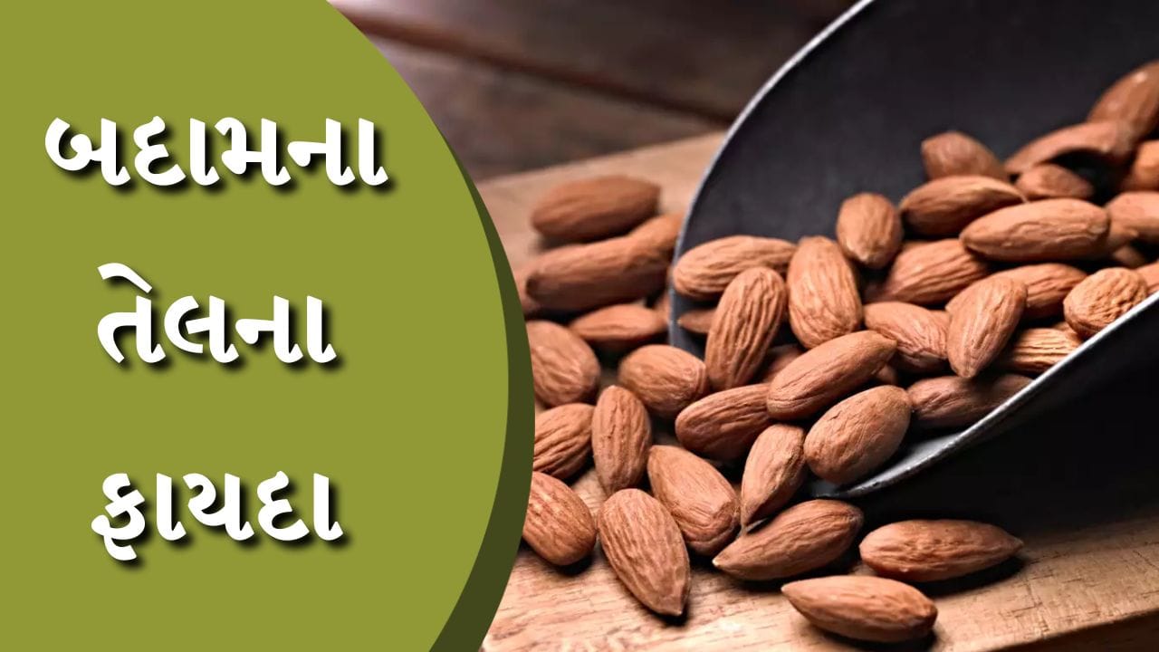 કબજિયાત, વાળ ખરવા કે ટેનિંગ, બદામનું તેલ આપશે રાહત, તેનો આ રીતે કરો ઉપયોગ Gujarati News