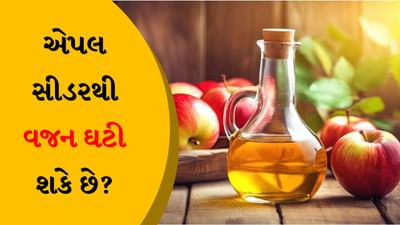 શું એપલ સીડર વિનેગર પીવાથી તમારું વજન ઓછું થઈ શકે છે? જાણો આ સ્ટડી શું કહે છે