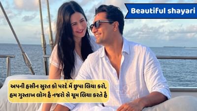 Beautiful Shayari: ઉનકે ચેહરે કી ચમક ઇતની હૈ, કી હર કિસી કી સૂરત ઉનકે સામને ફીકી હૈ..વાંચો શાયરી