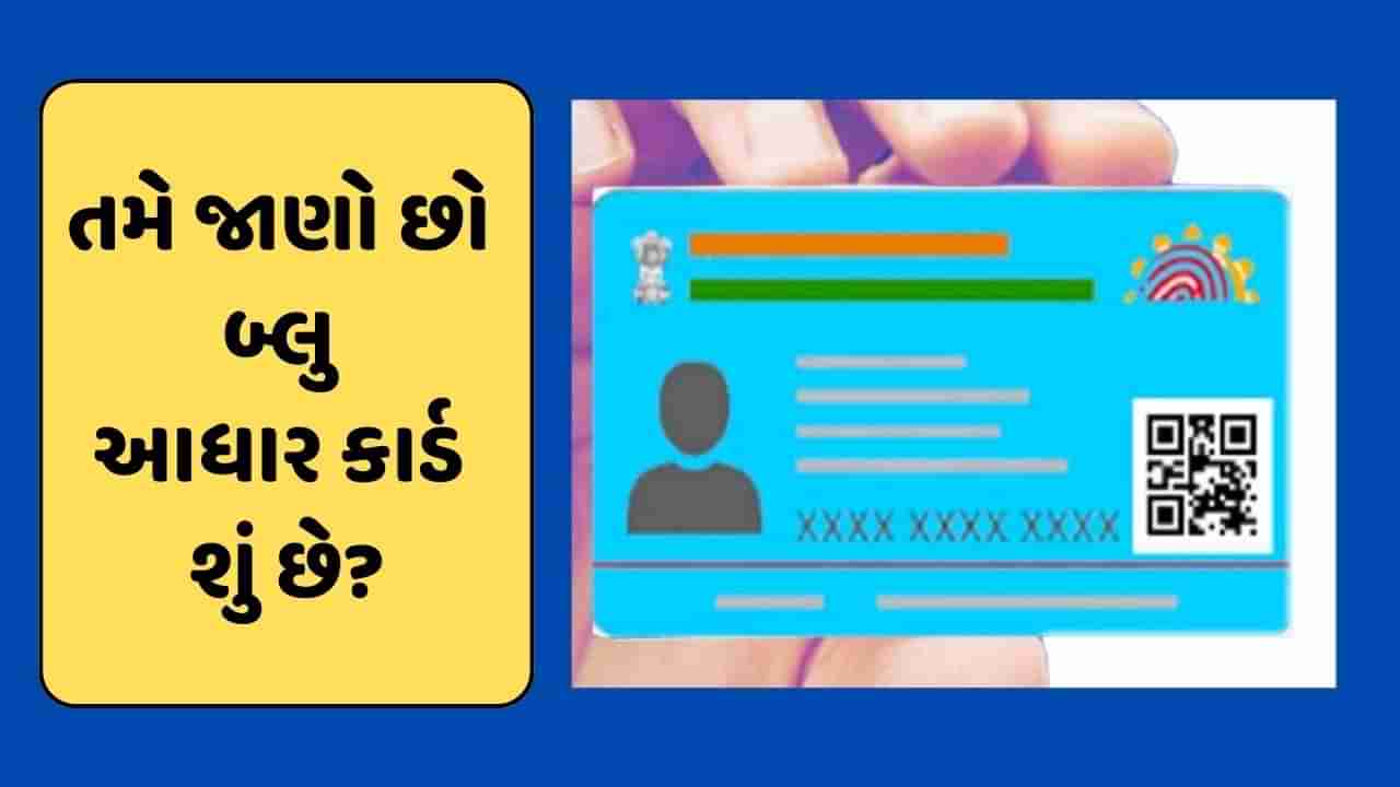 Blue Aadhaar Card: બ્લુ આધાર કાર્ડ શું છે? દરેક વ્યક્તિ બનાવડાવી શકે છે, જાણો અહીં