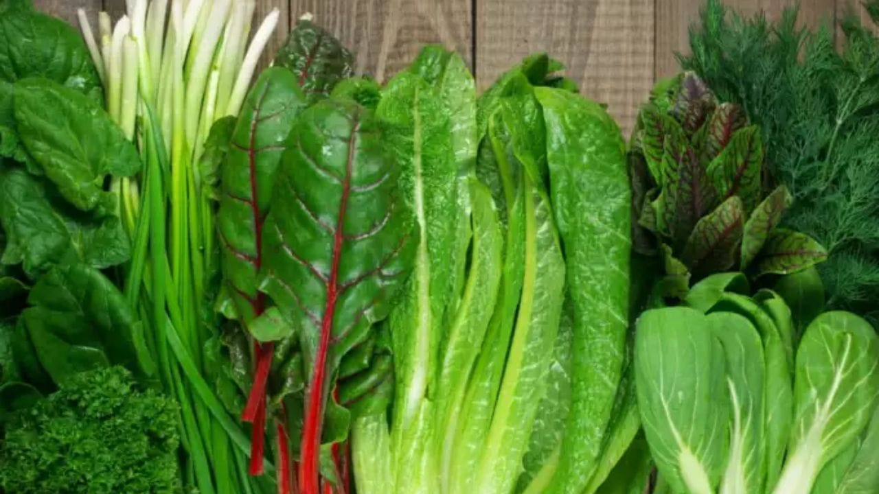 લીલા પાંદડાવાળા શાકભાજીમાં વિટામિન A, વિટામિન K અને આયર્ન હોય છે. આ પોષક તત્ત્વો તમારા મગજના કોષોને વિકસાવવામાં મદદ કરે છે જે તમારી વિચારવાની અને યાદ રાખવાની ક્ષમતામાં અનેકગણો વધારો કરે છે. (Photo - Canva)