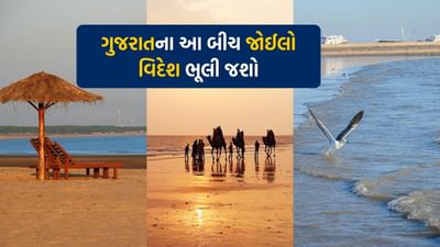 જો તમે પણ દ્વારકાની મુલાકાત લેવાનું વિચારી રહ્યા છો, તો ચોક્કસથી અહીંના કેટલાક બીચની મુલાકાત લો.