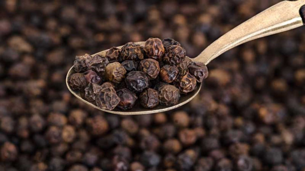 કાળી મરી: છાતીમાં જામેલા કફને દૂર કરવા માટે કાળી મરીનું સેવન પણ લાભકારી સાબિત થઇ શકે છે.તેવામાં ગળામાં ખરાશ અને શરદી ખાસીની પરેશાની પણ દૂર થઇ શકે છે. તમે કાળી મરીને એક ચમચી મધમાં વાટીને લો. કાળી મરીથી બનેલો ઉકાળો નું સેવન પણ તમે કરી શકો છો.