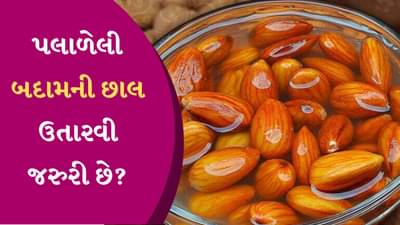 Almonds: ખાલી પેટે પલાળેલી બદામ ખાવી સારી છે, પરંતુ શું તેની છાલ ઉતારવી જરૂરી છે?