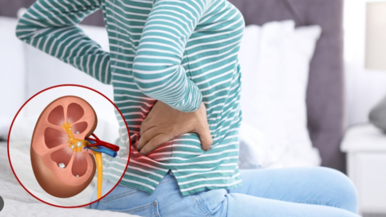 પથરી મટાડે :  પથરીના રોગ માટે કેસૂડાના ફુલના ફૂલ  ફાયદાકારક છે.  આ ફૂલને ઉકાળીને આ પાણી પીવાથી પથરી તૂટી જાય છે અને મૂત્ર માર્ગે નીકળી જાય છે.(ફોટો ક્રેડિટ- સોશિયલ મીડિયા)