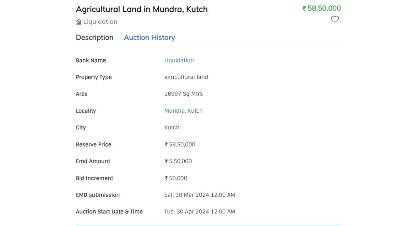 kutch Auction Today (2)