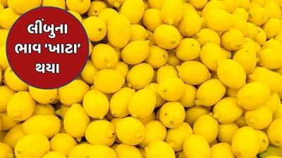 ભાવનગર વીડિયો : લીંબુના ભાવે ગૃહિણીઓનું બજેટ ખોરવ્યુ, 40ના લીંબુ ગરમી અને રમઝાન આવતાની સાથે જ 200 રુપિયા થયા ભાવનગર વીડિયો : લીંબુના ભાવે ગૃહિણીઓનું બજેટ ખોરવ્યુ, 40ના લીંબુ ગરમી અને રમઝાન આવતાની સાથે જ 200 રુપિયા થયા