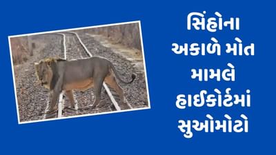 એશિયાટિક સિંહોના અકાળે મોત મામલે હાઈકોર્ટમાં સુઓમોટો, રેલવે વિભાગ સામે કરી લાલ આંખ, જુઓ Video