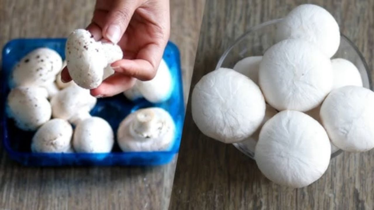 શરીરમાં પ્યુરિનનું આટલું પ્રમાણ વધવાથી હાડકામાં ગેપ પડે છે અને સોજો આવે છે. જેના કારણે સાંધામાં જકડાઈ જાય છે અને દુખાવો થાય છે. તેથી, આવી પરિસ્થિતિઓમાં પ્યુરિન વધારતી વસ્તુઓ ખાવાનું ટાળવું જોઈએ. તો ચાલો જાણીએ કે શું મશરૂમ ખાવાથી યુરિક એસિડ વધે છે?