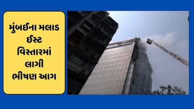 મુંબઈના મલાડ ઈસ્ટ વિસ્તારના સેન્ટ્રલ પ્લાઝા કોમ્પ્લેક્સમાં ભીષણ આગ, વીડિયો આવ્યો સામે