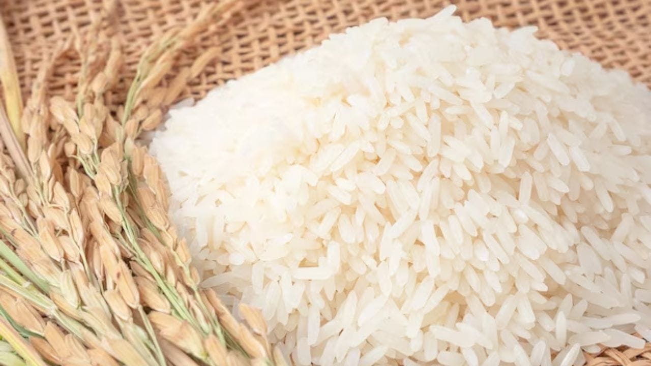 શાસ્ત્રો અનુસાર એક ચોખાના દાણા પર્સમાં રાખવાથી અનિચ્છનીય ખર્ચમાં ઘટાડો થાય છે. તેમજ અનિચ્છનીય ખર્ચ ઘટાડે છે. આ રાખવાથી પૈસાની અછત થતી નથી. 