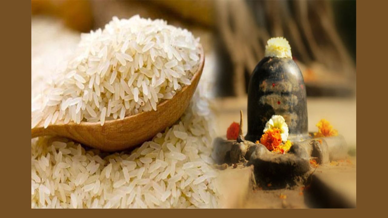 ચોખાને અક્ષત તરીકે ઓળખવામાં આવે છે. ભગવાન શિવને ચોખા એટલે કે અક્ષત અર્પણ કર્યા વિના પૂજા પૂર્ણ માનવામાં આવતી નથી. એટલા માટે કહેવાય છે કે જો તમે કોઈ શિવ મંદિરમાં ગયા હોવ તો તમારે અક્ષત અર્પણ કરવું જોઈએ. મુઠ્ઠીભર અક્ષત હાથમાં લઈ લિંગ પર ચઢાવો. જો તમે મુઠ્ઠી ભરી શકતા નથી, તો તમે 5 અથવા 7 દાણા લઈ શકો છો.