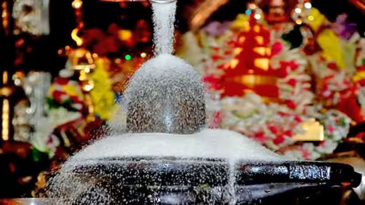 ચોખાને શ્રેષ્ઠ ધાનનું સ્થાન મળ્યું છે, શિવલિંગ પર ચોખા ચઢાવવાથી માન સમ્માન વધે છે.ચોખાનો રંગ સફેદ છે, સફેદ રંગ શાંતિનું પ્રતીક છે. શિવલિંગ પર ચોખા અર્પણ કરવાથી મનને શાંતિની અનુભૂતિ થાય છે.ચોખા અર્પણ કરતી વખતે કરવામાં આવેલી મનોકામનાઓ ચોક્કસપણે પૂર્ણ થાય છે.