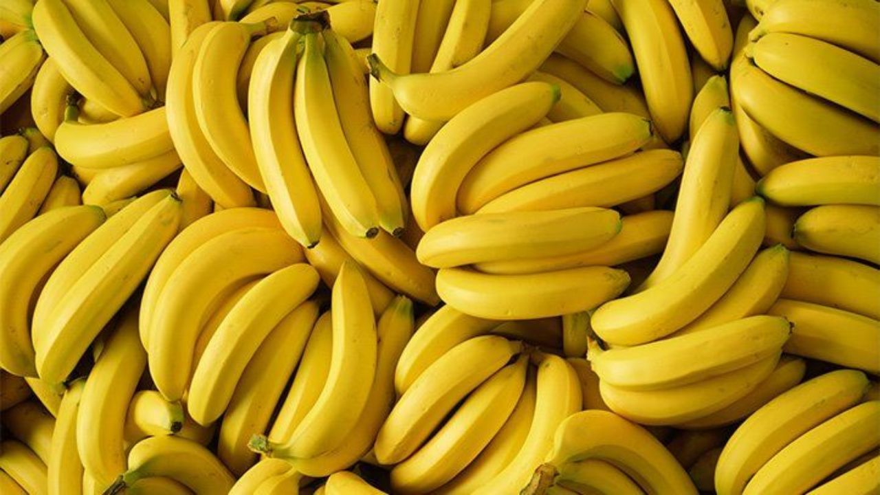 ઝાડામાં ફાયદાકારકઃ આ ઋતુમાં ગરમીને કારણે લોકોને ઝાડાની સમસ્યાનો પણ સામનો કરવો પડે છે. આવી સ્થિતિમાં કેળાનું સેવન કરવાથી તાત્કાલિક રાહત મળી શકે છે. કાળું મીઠું ભેળવીને કેળા ખાવાથી આરામ મળશે. આ સાથે કેળાની સાથે ખાંડના થોડા દાણા ખાવાથી પણ તમને ફાયદો થશે.
