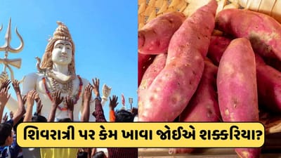 મહાશિવરાત્રી પર શક્કરિયા કેમ ખાવામાં આવે છે અને તેનાથી શું ફાયદા થાય છે? જાણો અહીં