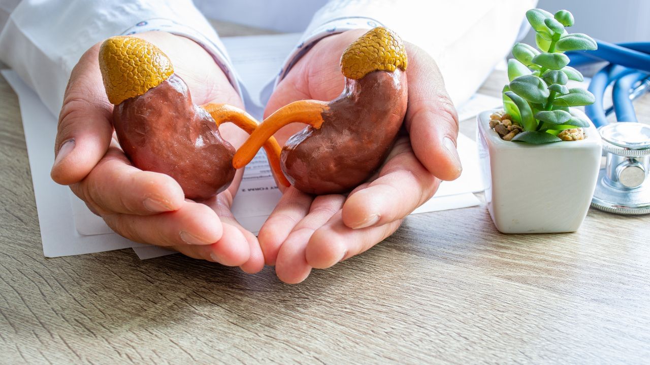 જો પેશાબમાં ફીણ બની રહ્યા હોય, તો તે વ્યક્તિને કિડની સંબંધિત રોગની નિશાની હોઈ શકે છે. કિડની જ્યારે યોગ્ય કામ કરવાનું બંધ કરે છે ત્યારે પ્રોટીન પેશાબમાં લીક થવા લાગે છે. 