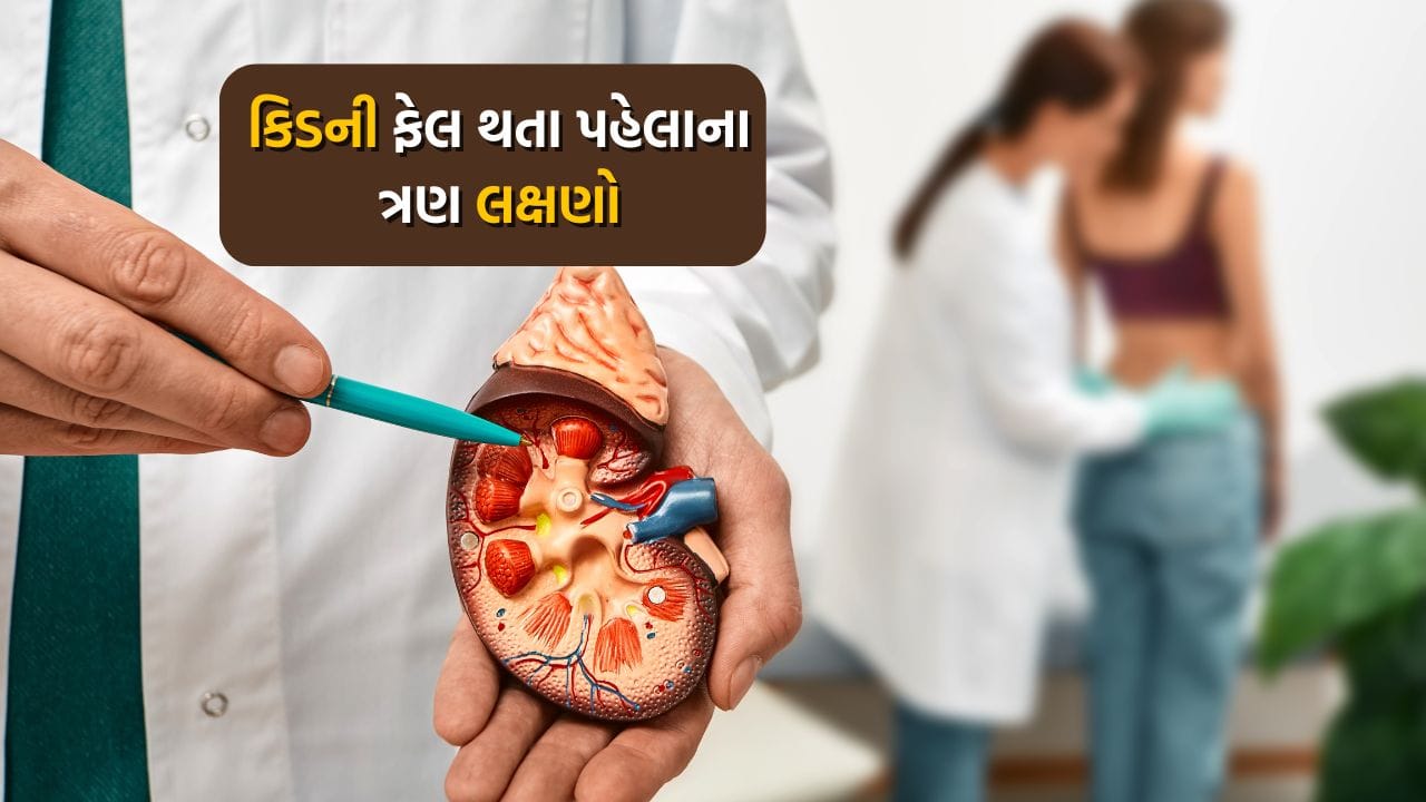 કિડની રોગને અવગણવાની આદત બહું ગંભીર સમસ્યાઓ નોતરે છે અને કિડની ફેલ પણ થઈ શકે છે.