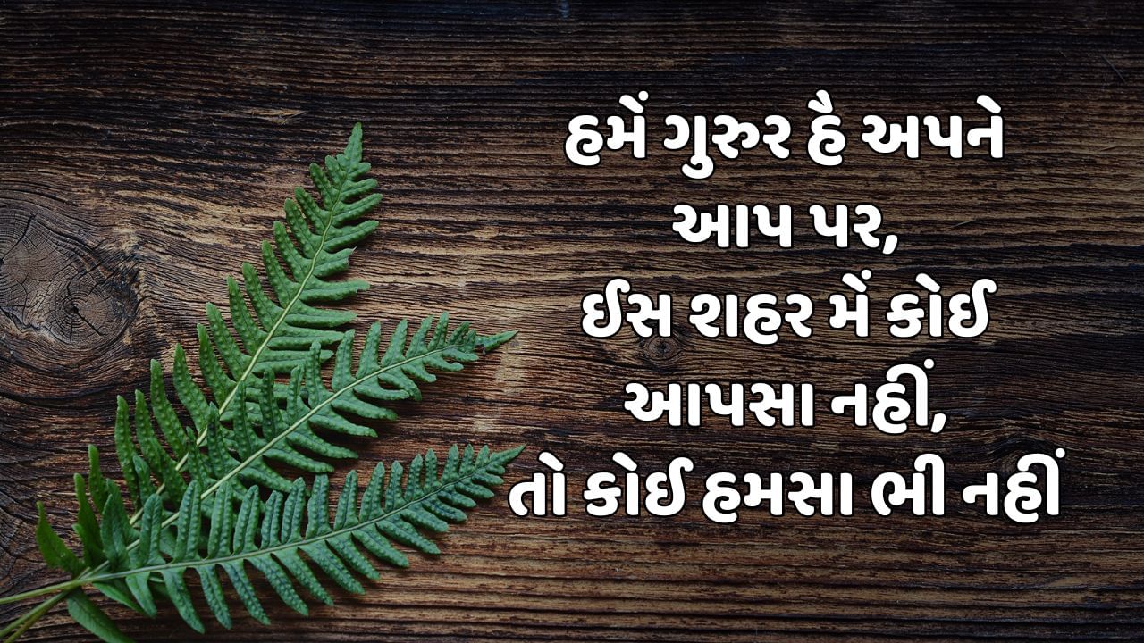 Attitude Shayari In Hindi Gujarati (1)